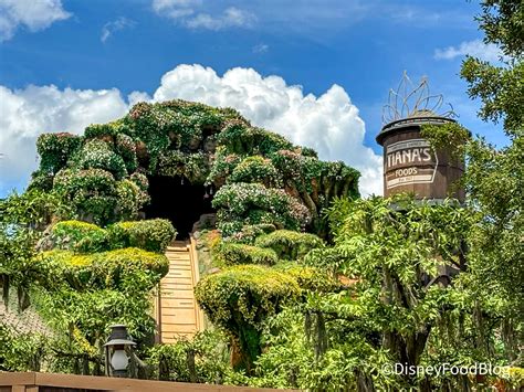 drop at tiana's bayou disney